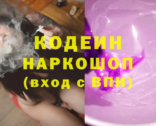 индика Пролетарск
