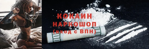 крисы Алексин